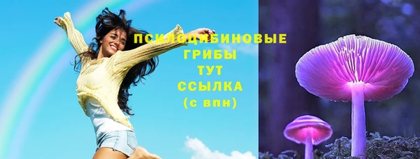 бутират Инта