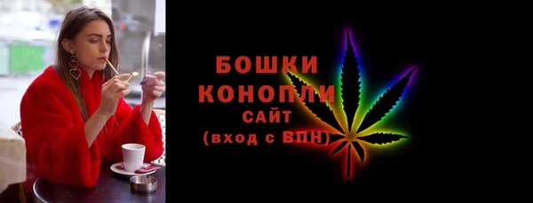 МДПВ Каменногорск