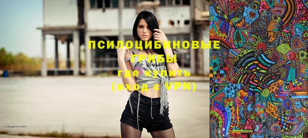 МДПВ Каменногорск