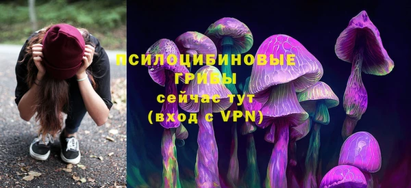 бутират Инта