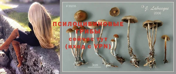 круглые Инсар