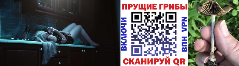 Галлюциногенные грибы GOLDEN TEACHER Купить закладки Унеча